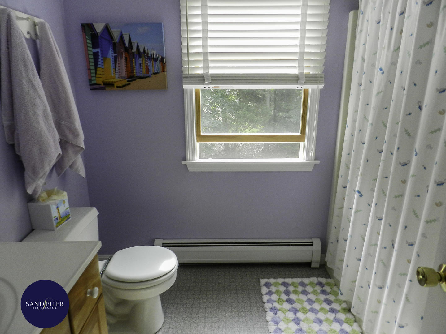 Cape Cod Home 994992