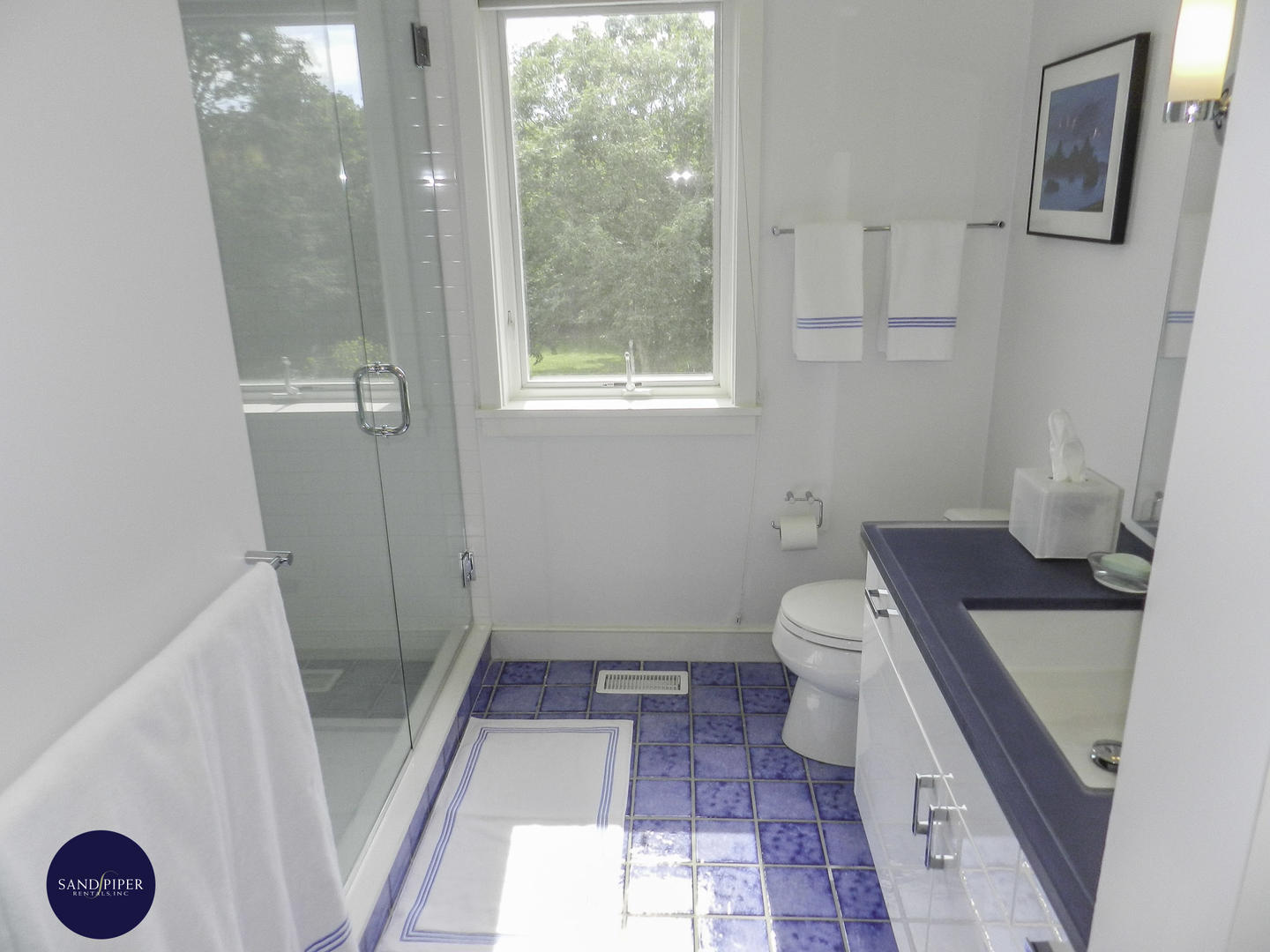Cape Cod Home 995027