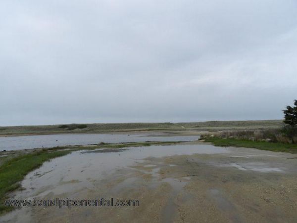 Cape Cod Home 995032