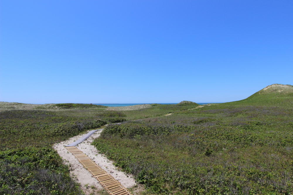 Cape Cod Home 995040