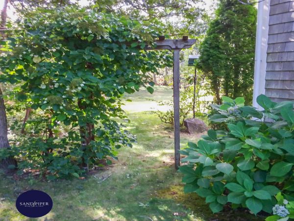 Cape Cod Home 995052