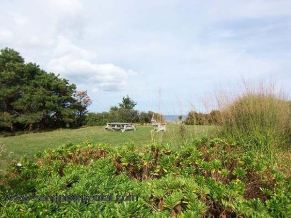 Cape Cod Home 995061