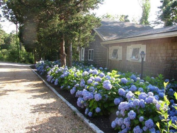 Cape Cod Home 995070