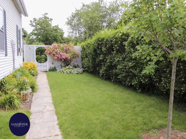 Cape Cod Home 995071