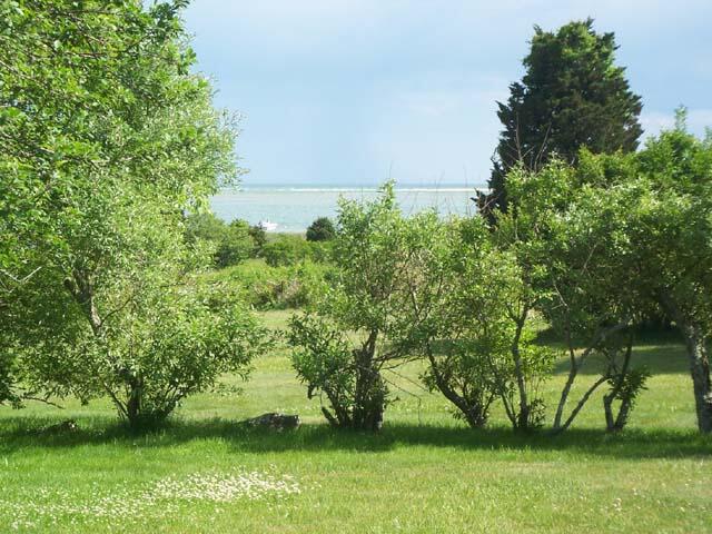 Cape Cod Home 995074