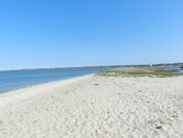 Cape Cod Home 995084