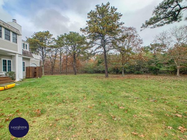 Cape Cod Home 995094