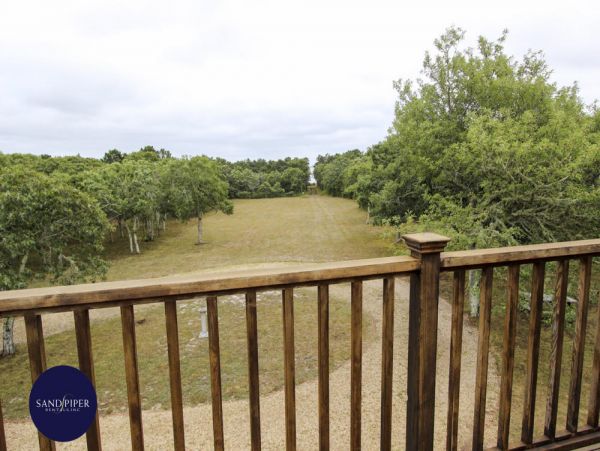 Cape Cod Home 995104
