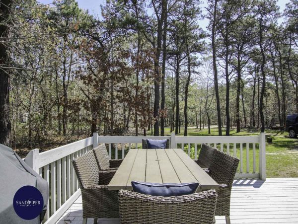 Cape Cod Home 995109