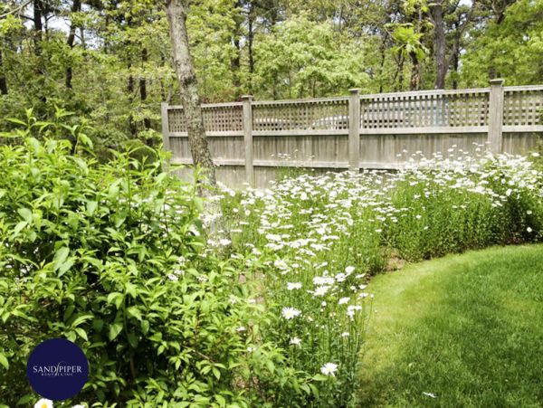 Cape Cod Home 995110