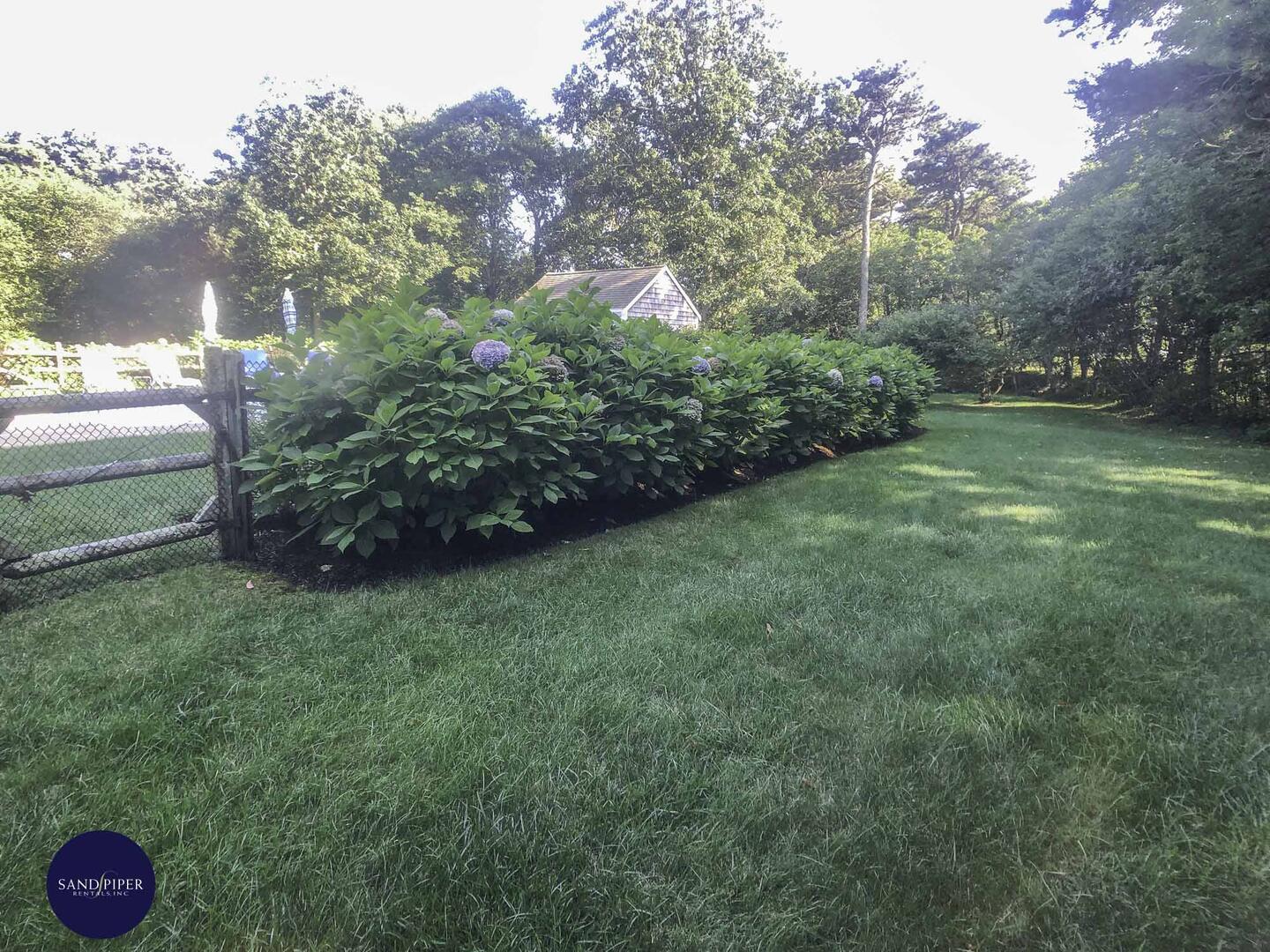 Cape Cod Home 995111