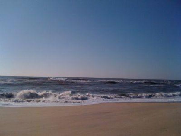 Cape Cod Home 995123