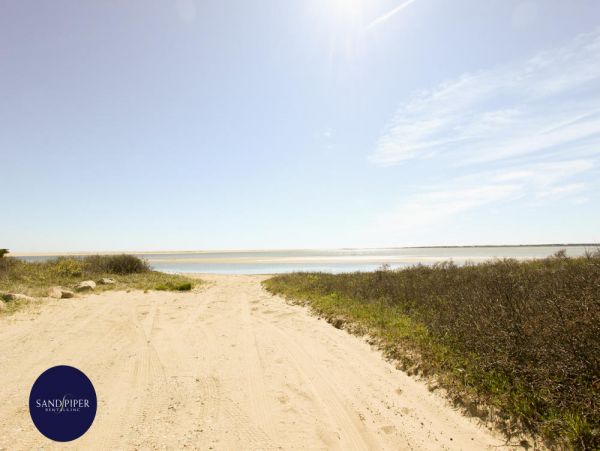 Cape Cod Home 995134