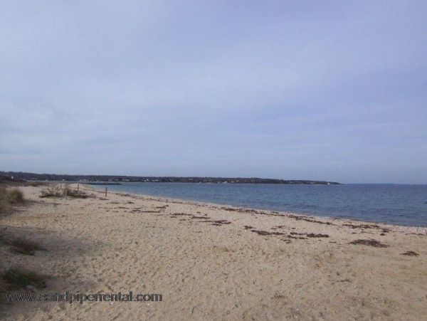 Cape Cod Home 995159