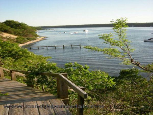 Cape Cod Home 995196