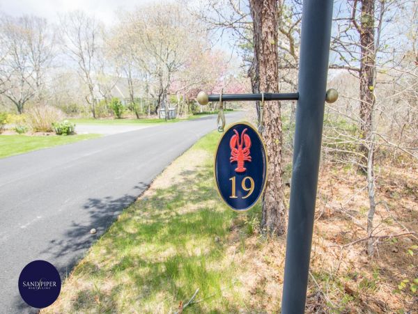 Cape Cod Home 995208