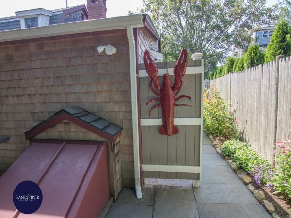 Cape Cod Home 995226