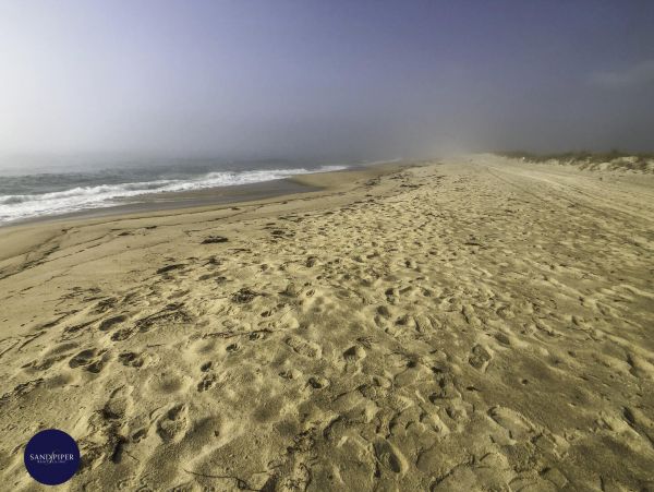 Cape Cod Home 995238