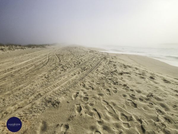 Cape Cod Home 995238