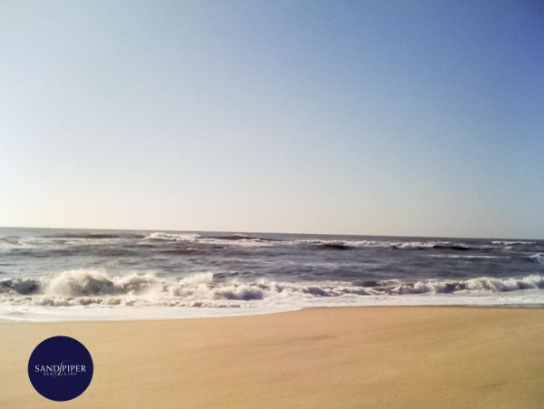 Cape Cod Home 995247