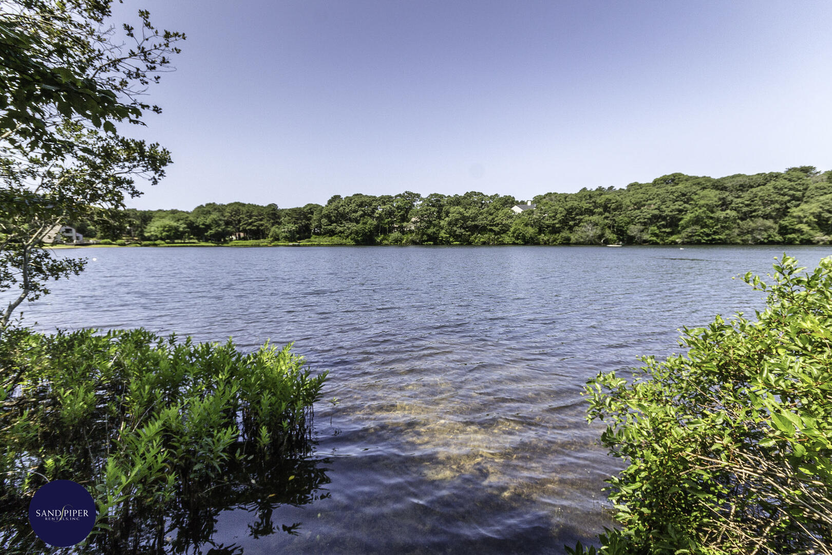 Cape Cod Home 995249