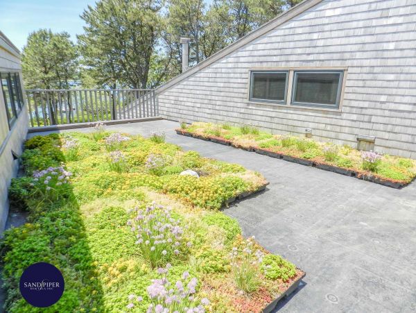Cape Cod Home 995259