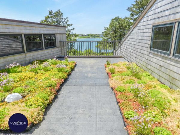 Cape Cod Home 995259
