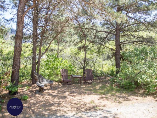 Cape Cod Home 995261