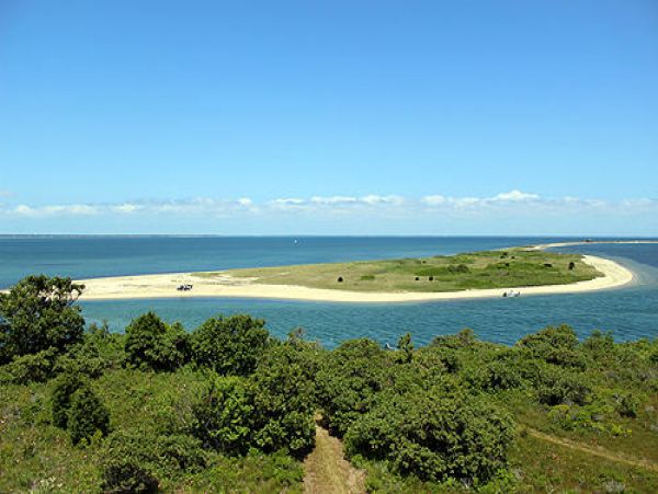 Cape Cod Home 995268