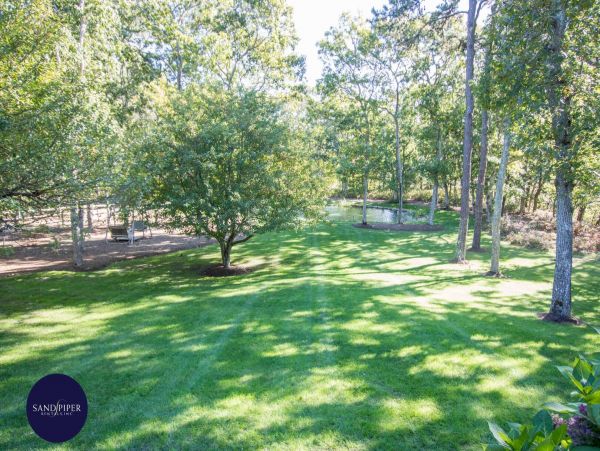 Cape Cod Home 995285