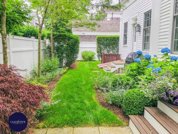 Cape Cod Home 995292