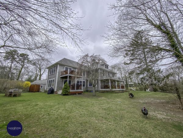 Cape Cod Home 995313