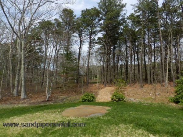 Cape Cod Home 995320