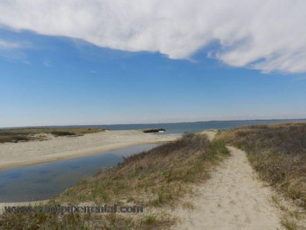 Cape Cod Home 995320