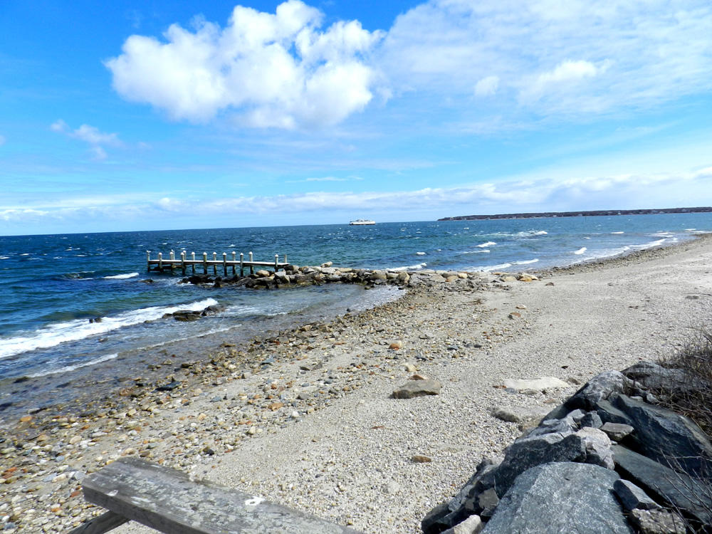 Cape Cod Home 995322
