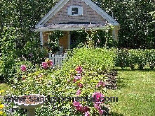 Cape Cod Home 995331