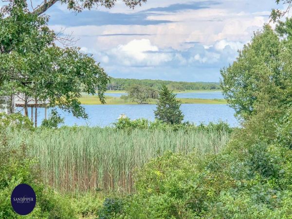 Cape Cod Home 995339