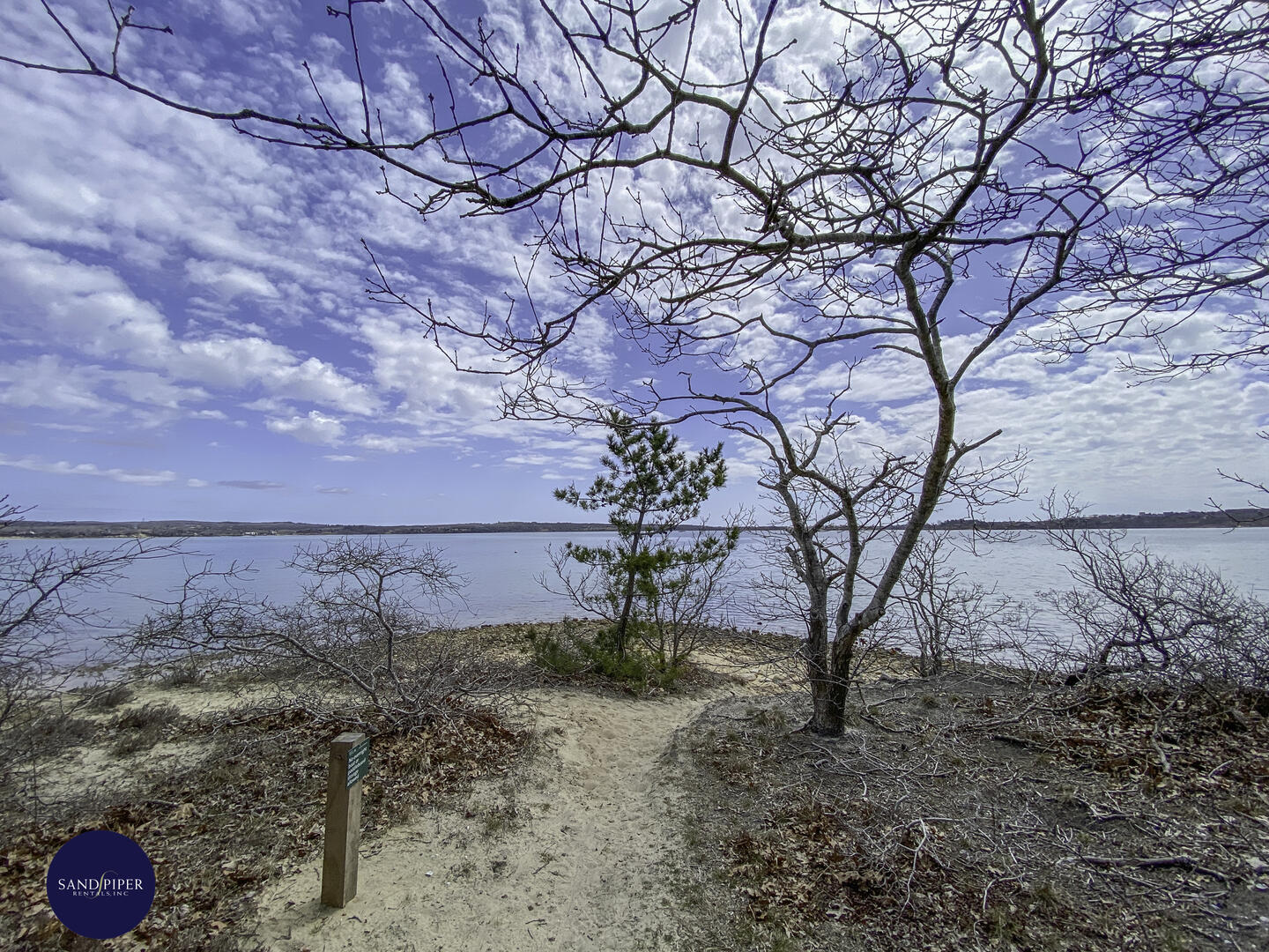 Cape Cod Home 995342