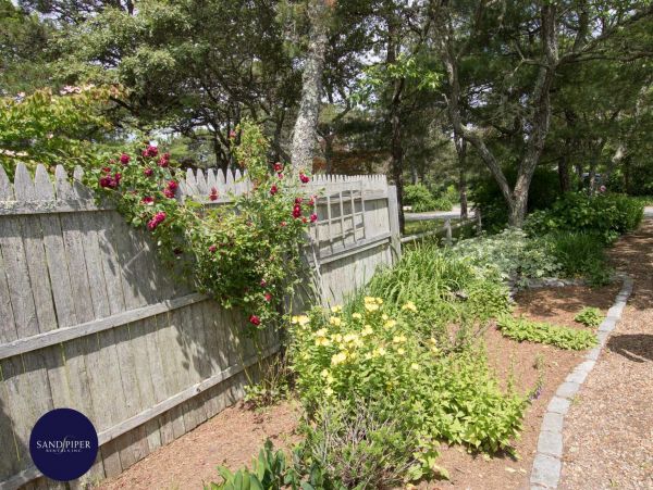 Cape Cod Home 995345