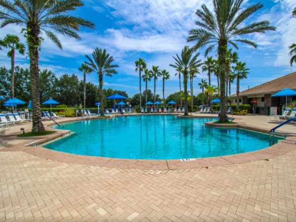 Exquisite Pool Vacation Home In Venice 8 Guests