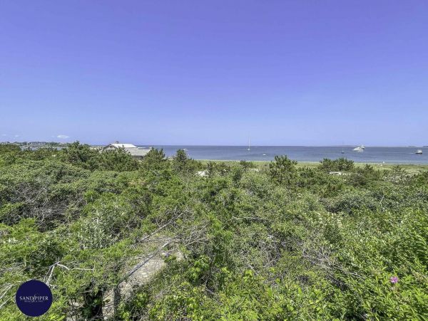 Cape Cod Home 995349