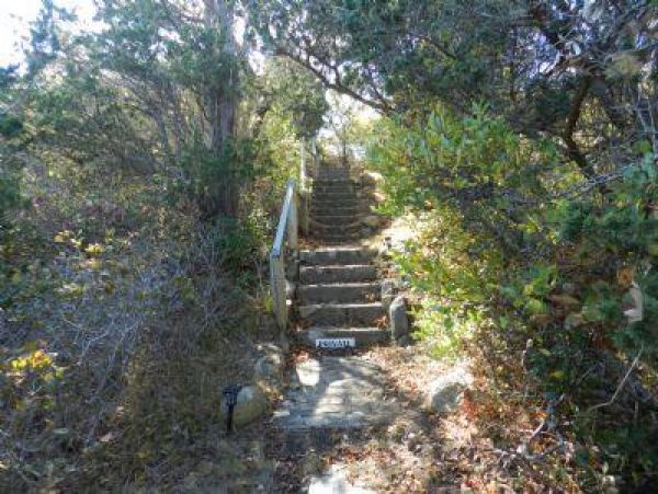 Cape Cod Home 995349