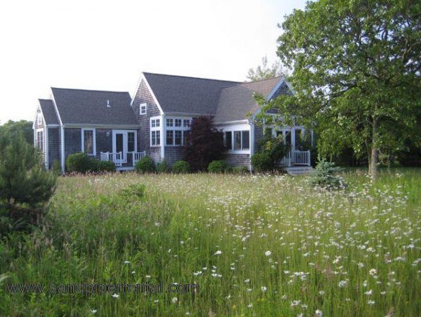 Cape Cod Home 995367