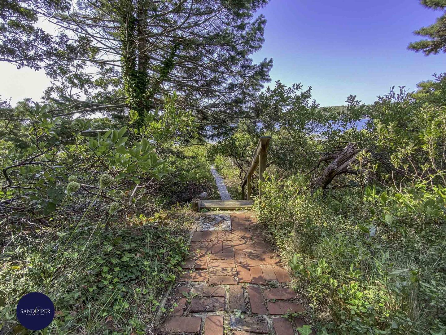 Cape Cod Home 995368