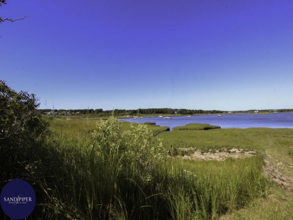 Cape Cod Home 995370