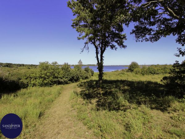 Cape Cod Home 995370