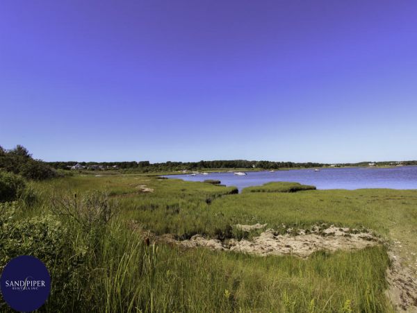 Cape Cod Home 995370