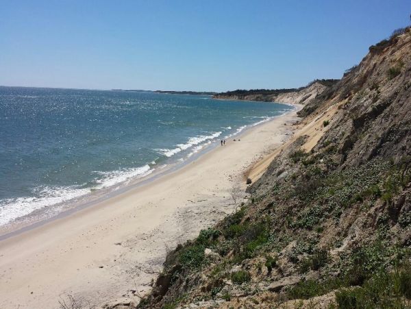 Cape Cod Home 995374