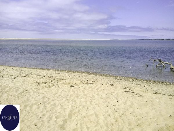 Cape Cod Home 995386