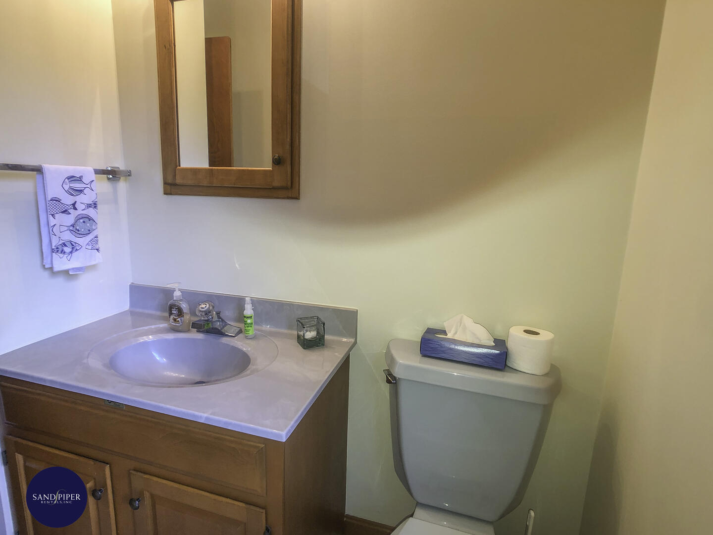 Cape Cod Home 995388